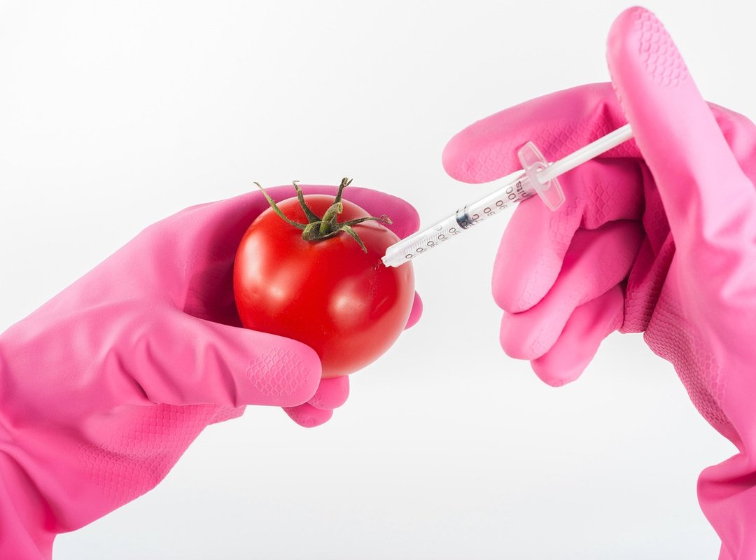gene editing frontier