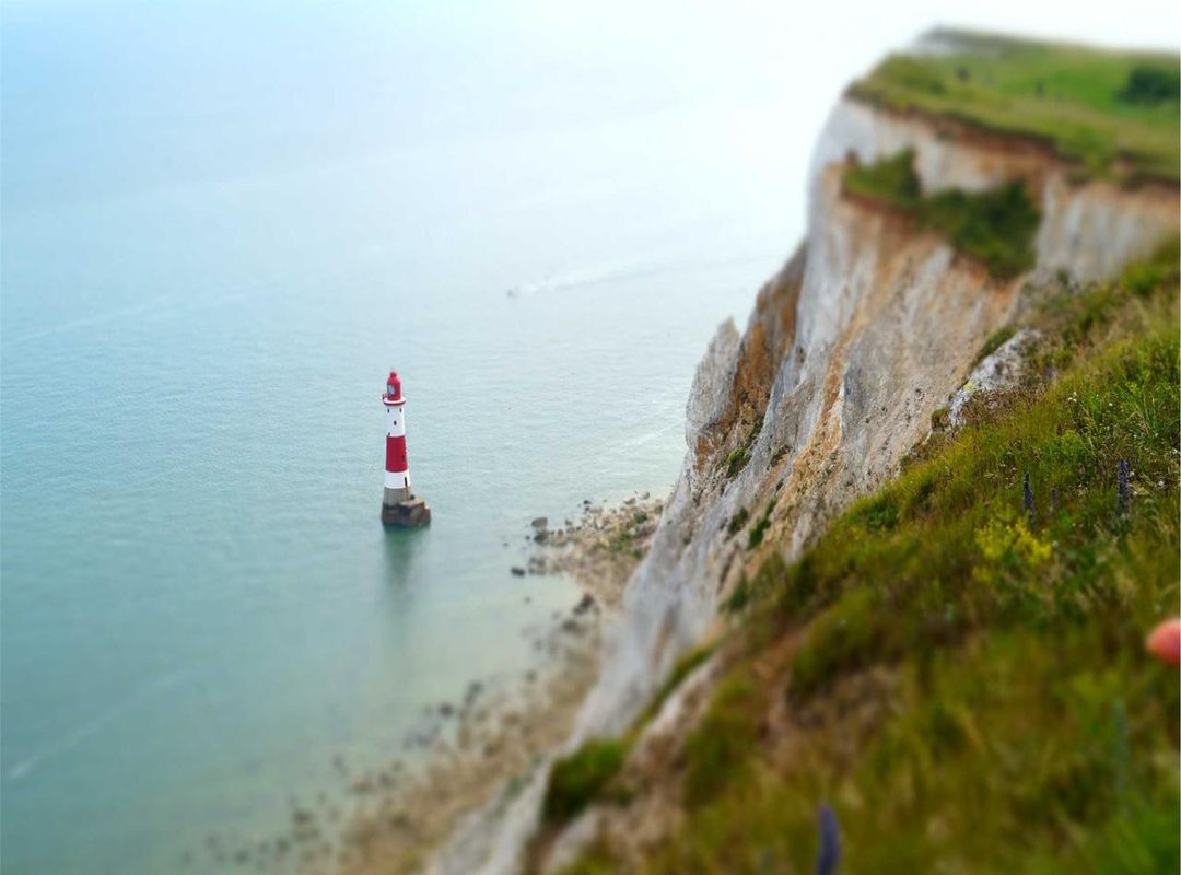 Public Contributions: Publications, Speaking, and Media