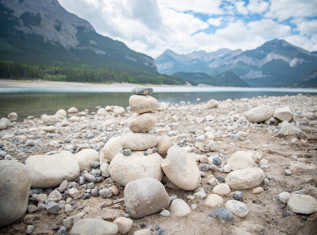 tech startups insights