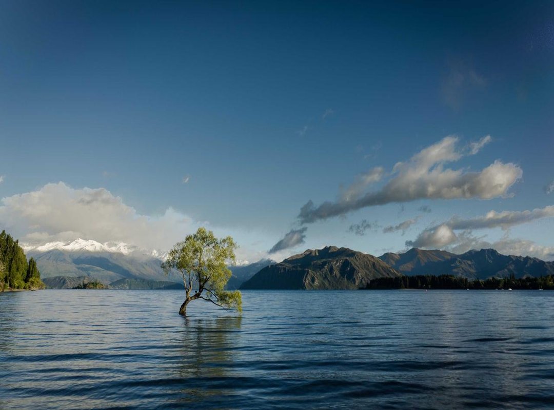 Safety and Legality: What Users Need to Know